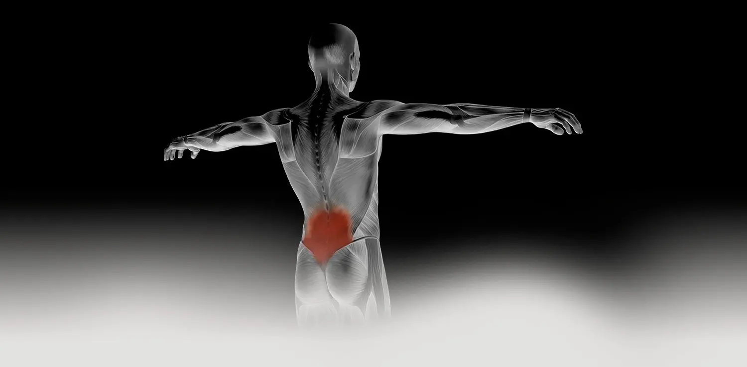 Columna lumbar con el punto de dolor resaltado