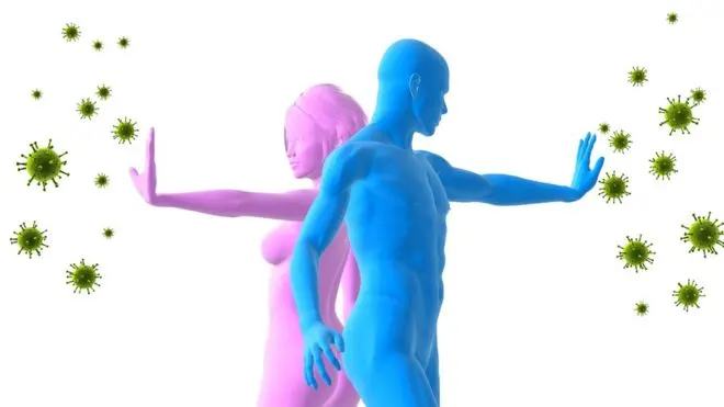 Ilustración del sistema inmune defendiendo al cuerpo